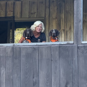 Sue Ann Colford-Collins